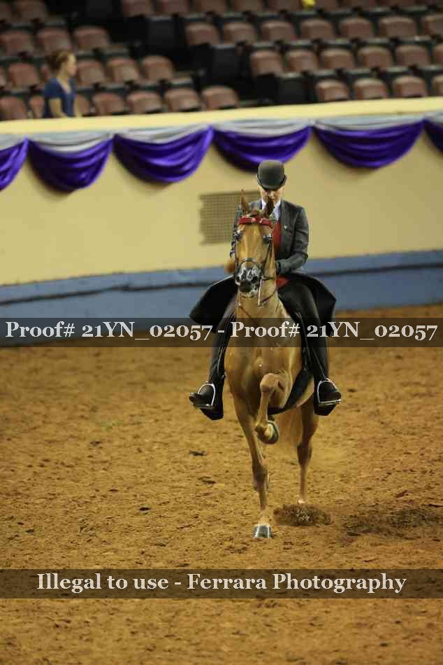 Proof Number 21YN_02057