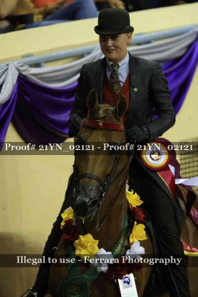 Proof Number 21YN_02121