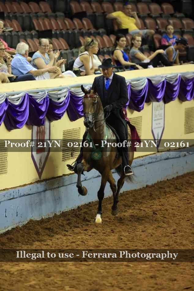 Proof Number 21YN_02161
