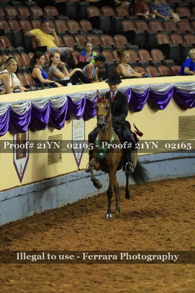 Proof Number 21YN_02165