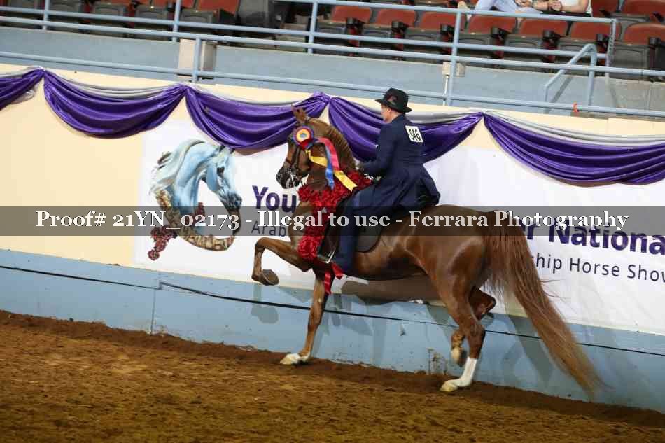 Proof Number 21YN_02173