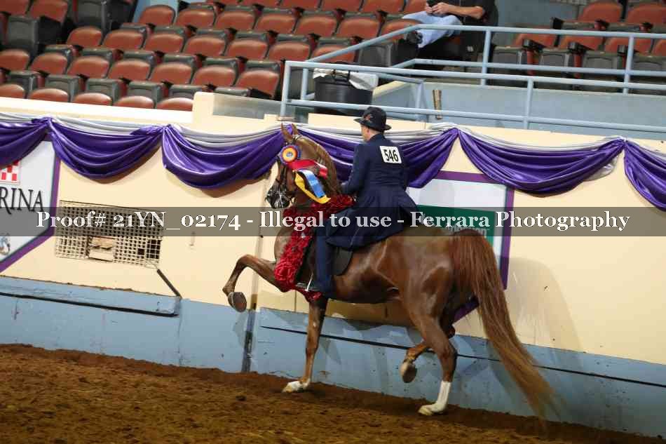 Proof Number 21YN_02174