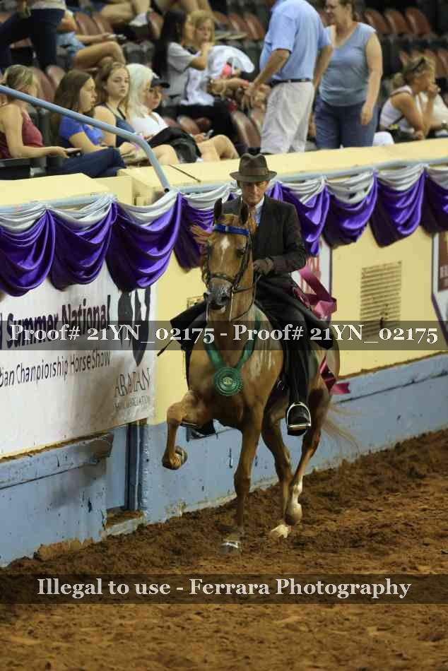 Proof Number 21YN_02175