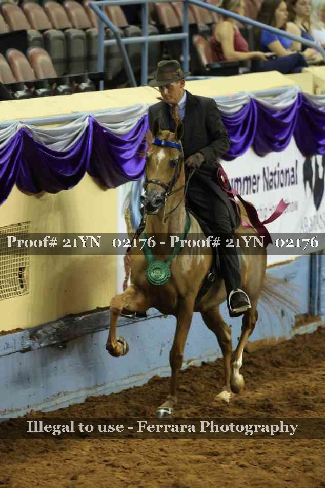 Proof Number 21YN_02176