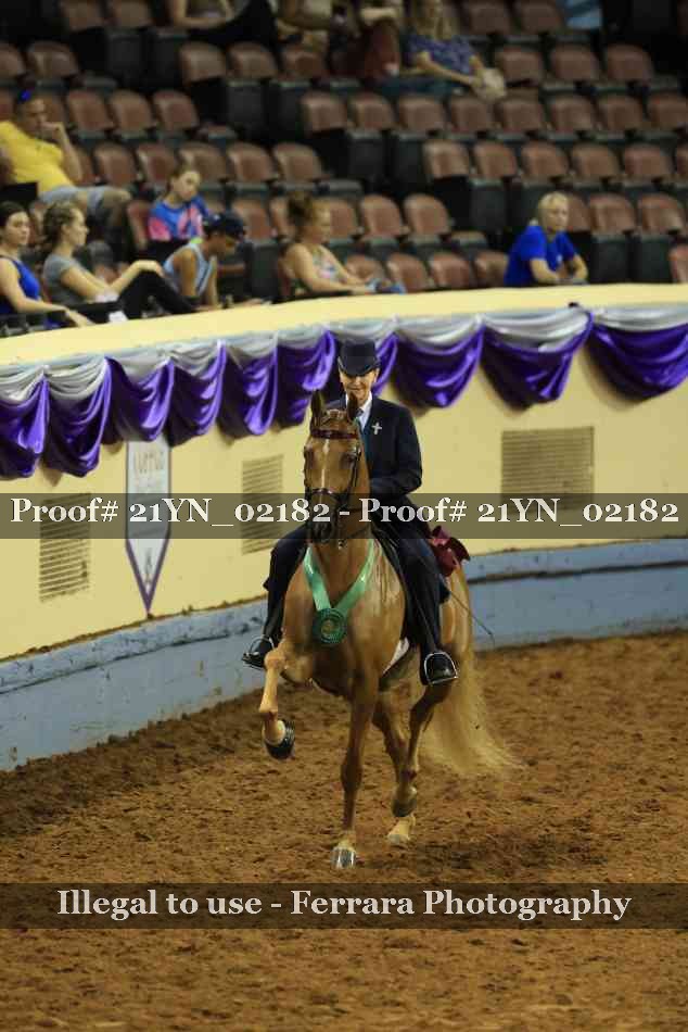 Proof Number 21YN_02182