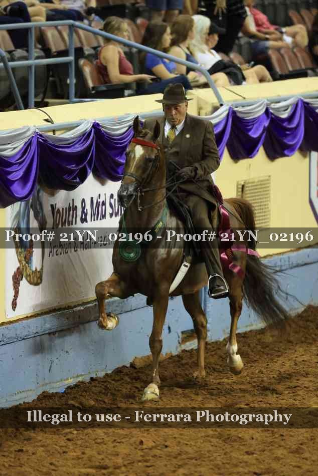 Proof Number 21YN_02196