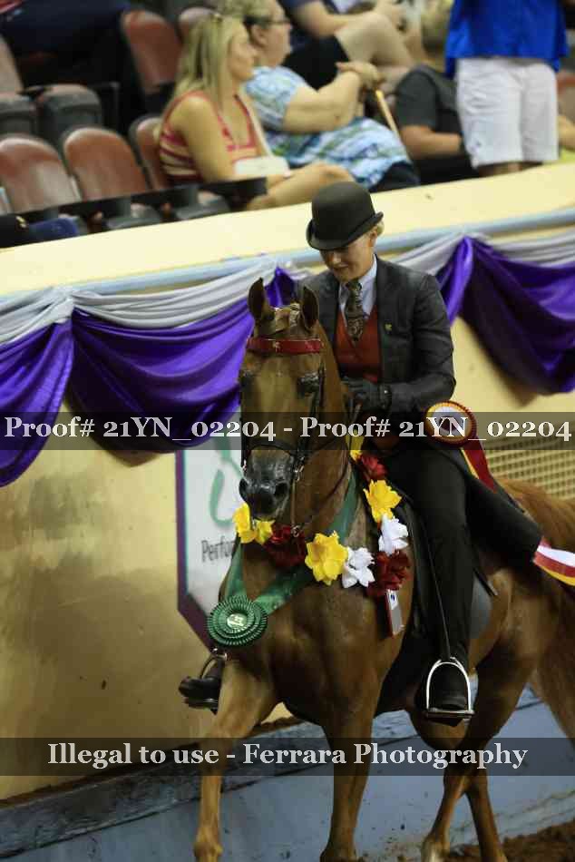 Proof Number 21YN_02204