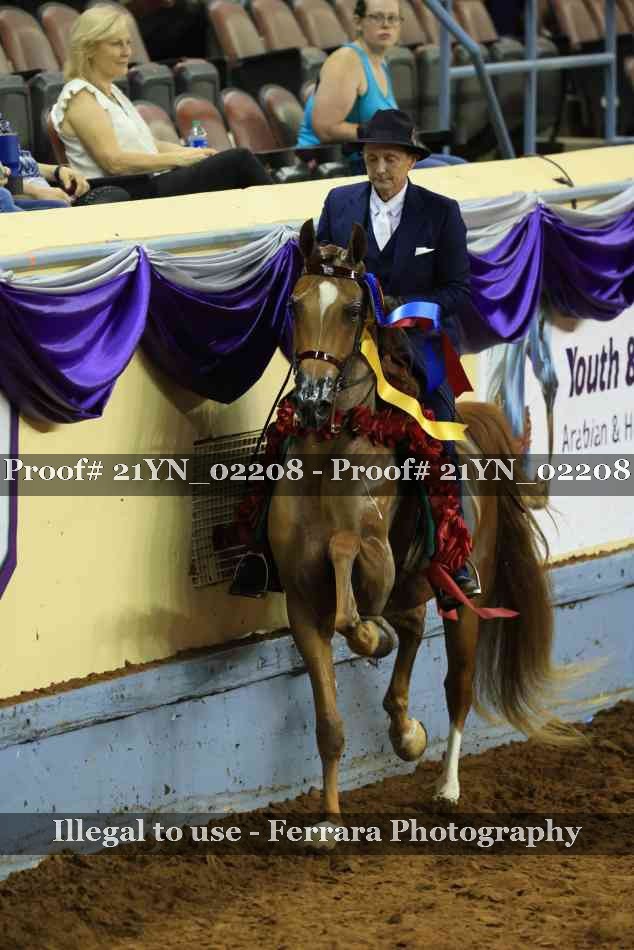 Proof Number 21YN_02208