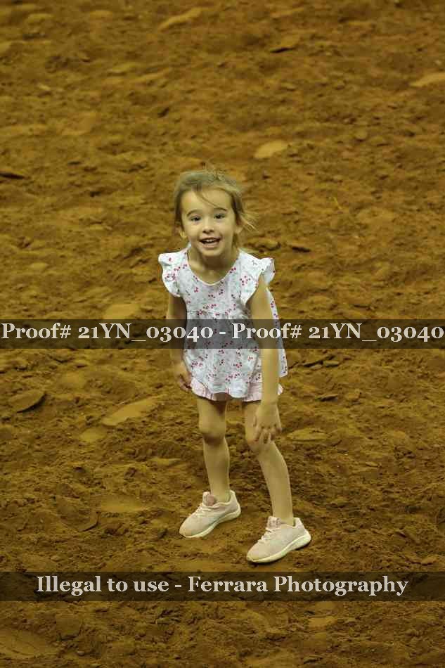 Proof Number 21YN_03040