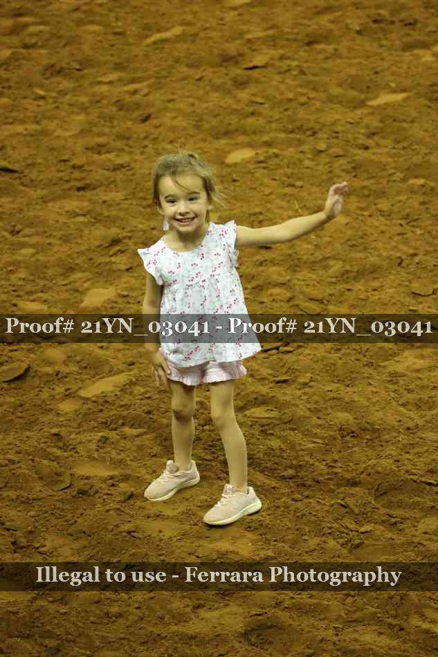 Proof Number 21YN_03041