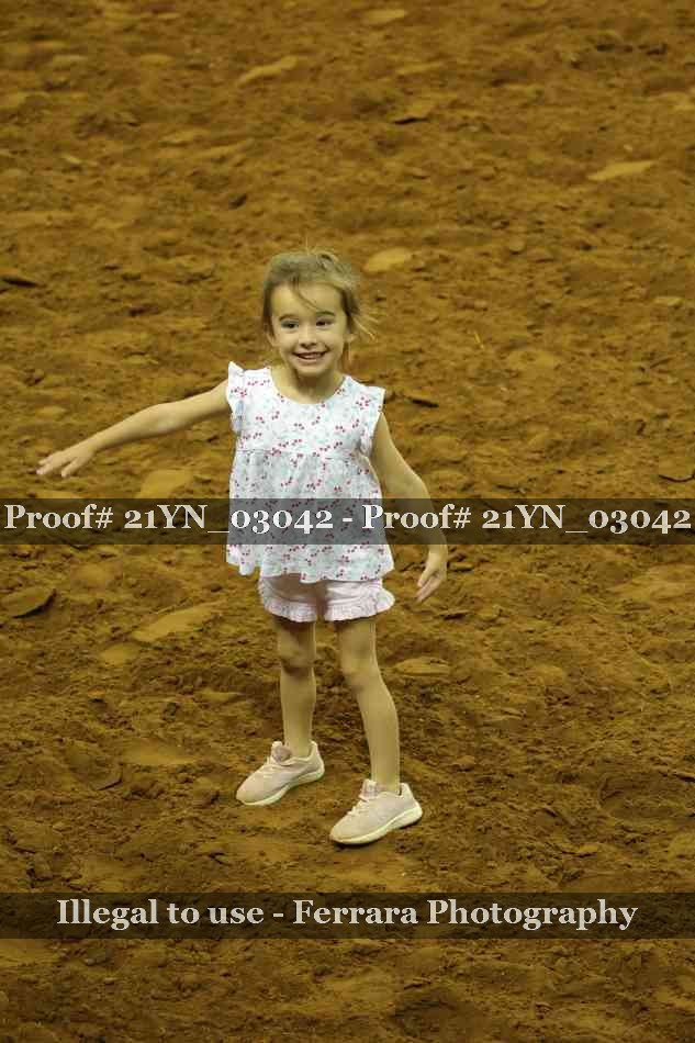Proof Number 21YN_03042