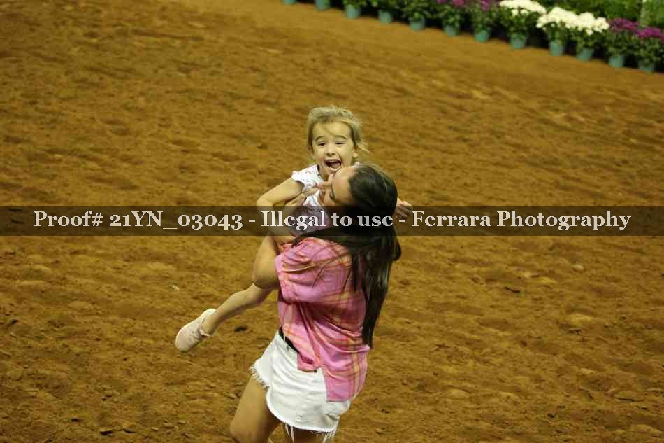 Proof Number 21YN_03043