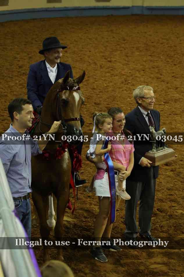 Proof Number 21YN_03045