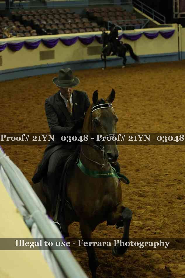 Proof Number 21YN_03048
