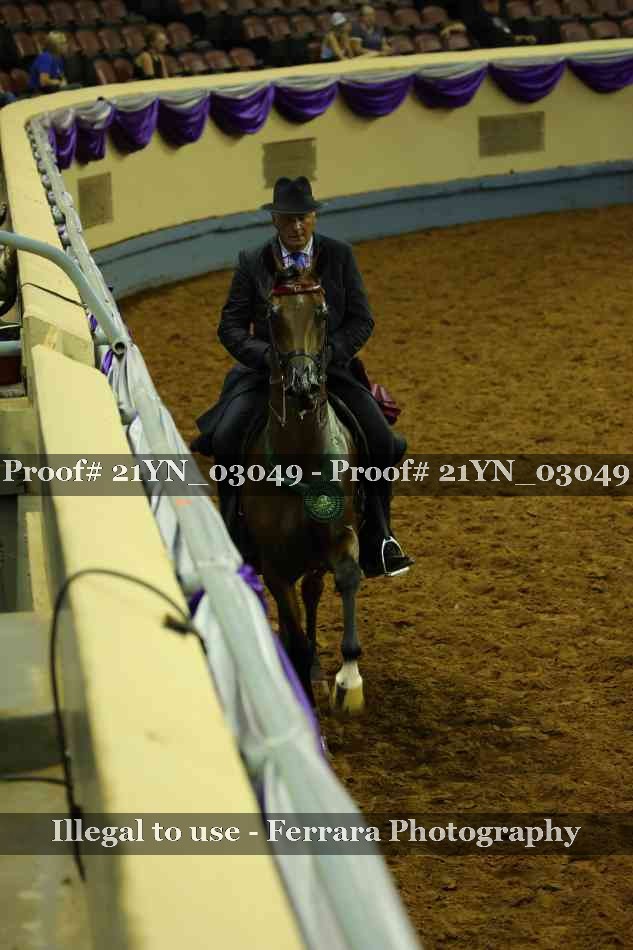 Proof Number 21YN_03049