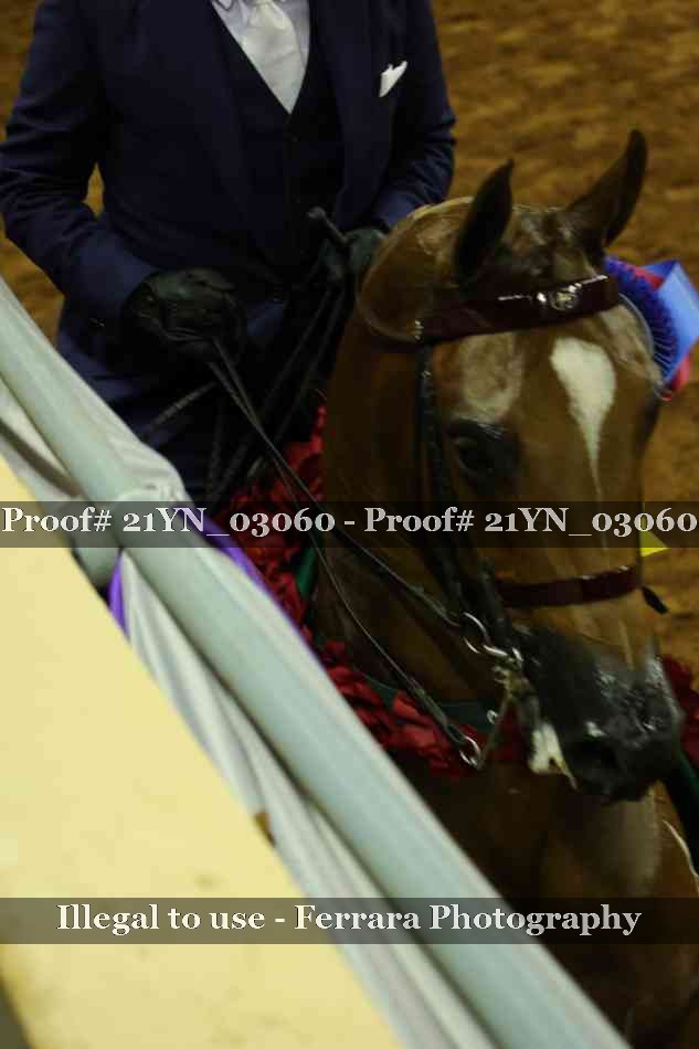 Proof Number 21YN_03060