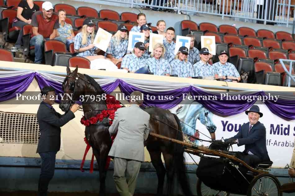 Proof Number 21YN_37958