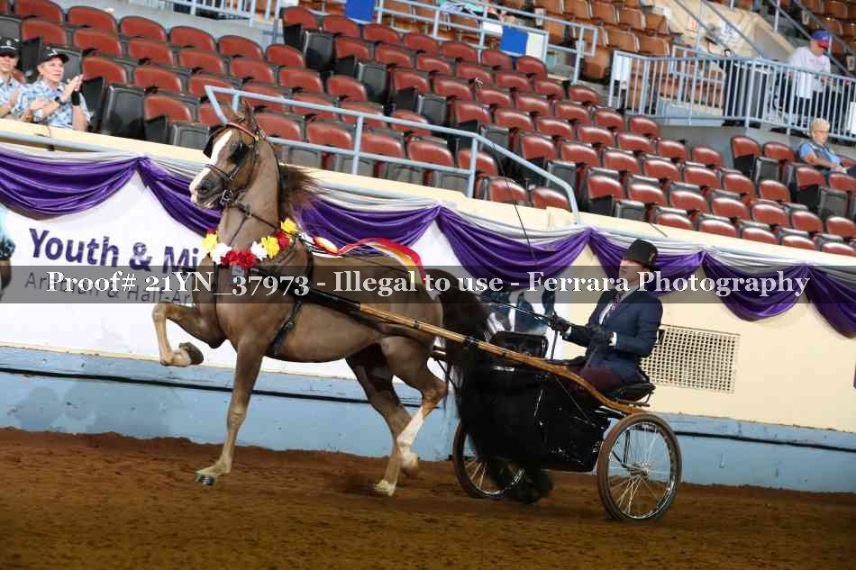 Proof Number 21YN_37973