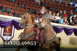 21YN_46653 thumbnail