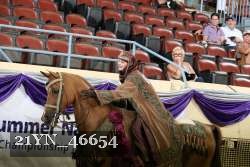 21YN_46654 thumbnail