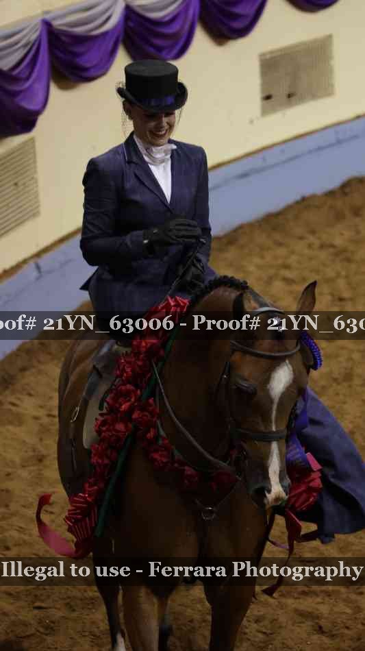 Proof Number 21YN_63006