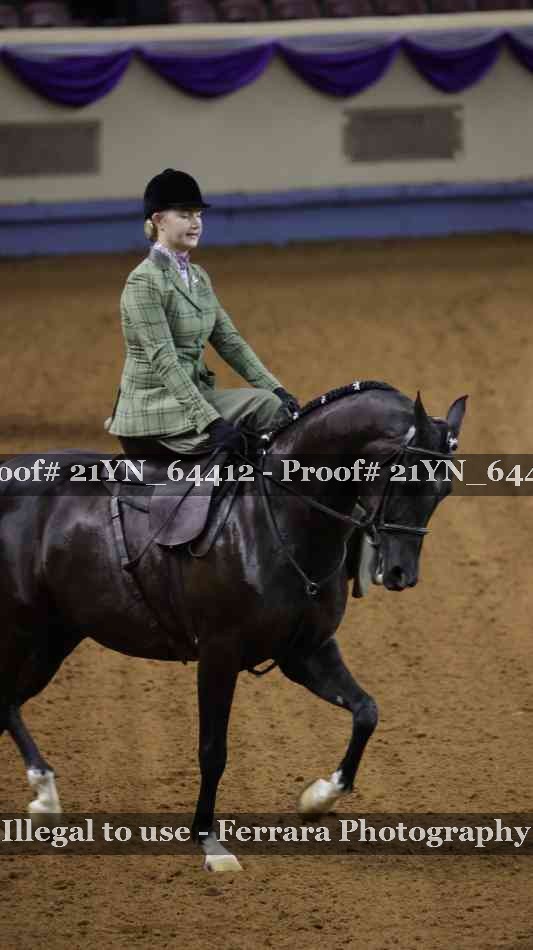 Proof Number 21YN_64412