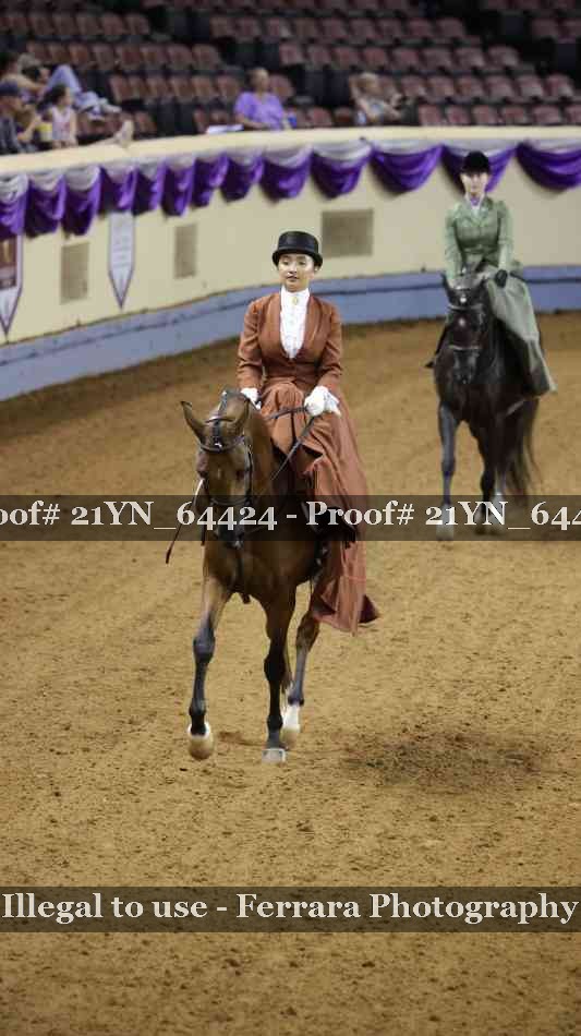 Proof Number 21YN_64424