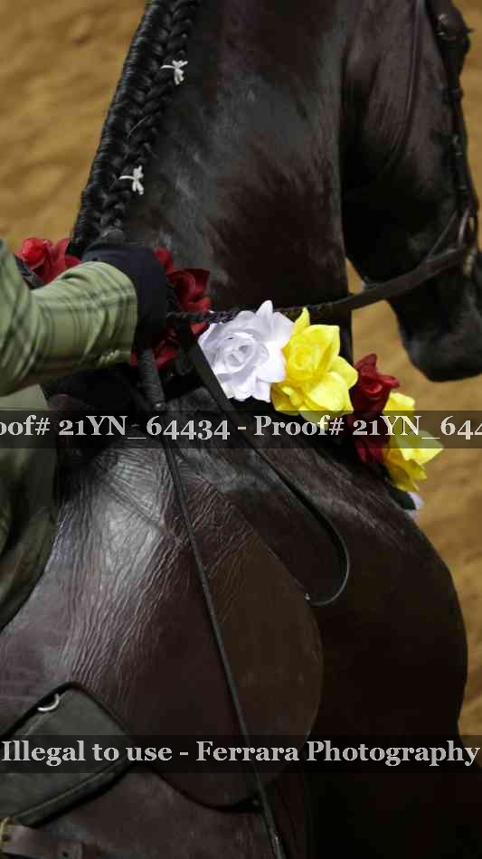 Proof Number 21YN_64434