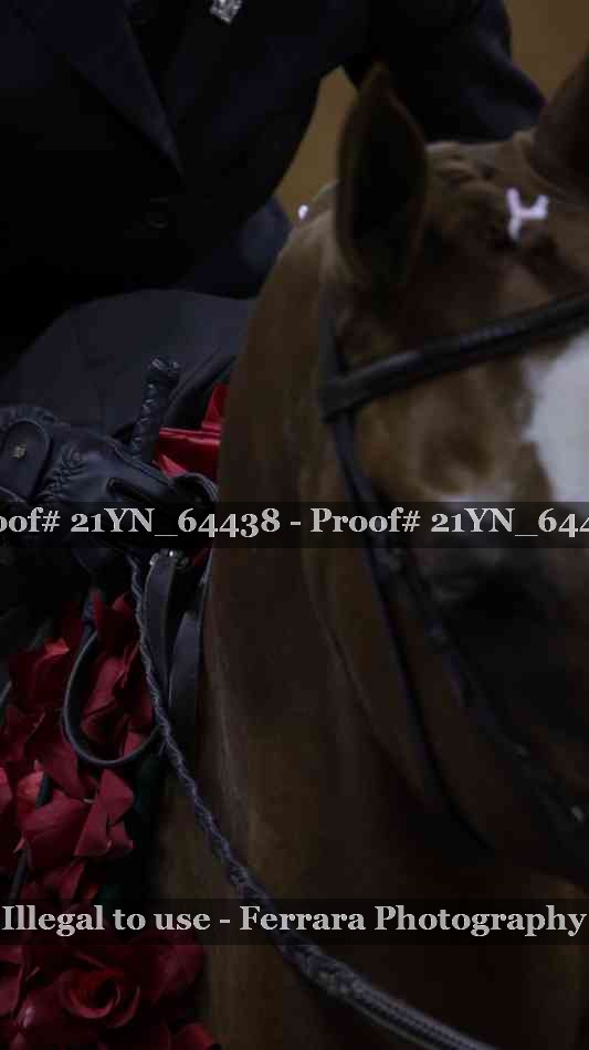 Proof Number 21YN_64438