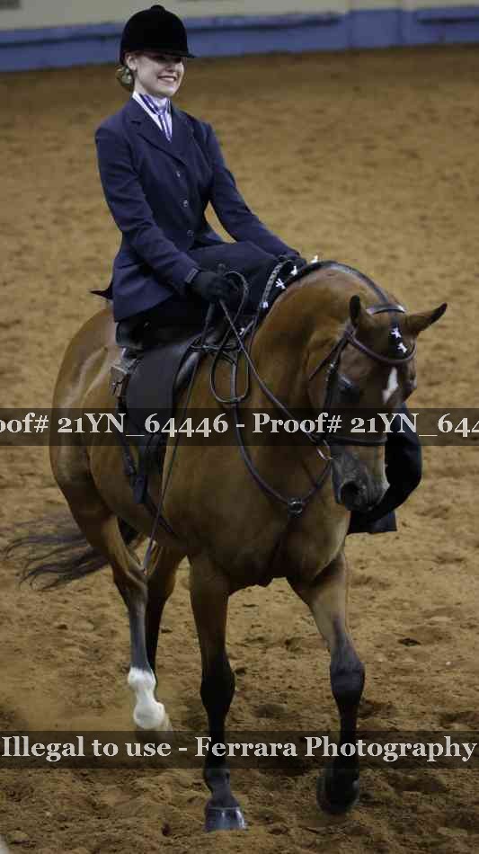 Proof Number 21YN_64446
