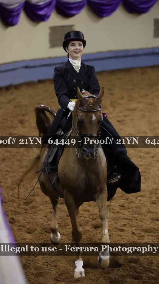 Proof Number 21YN_64449