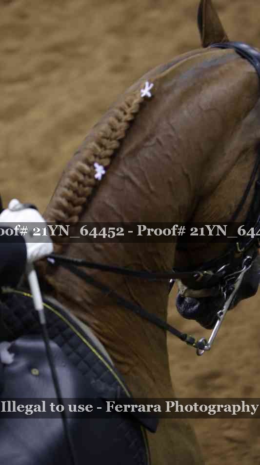 Proof Number 21YN_64452