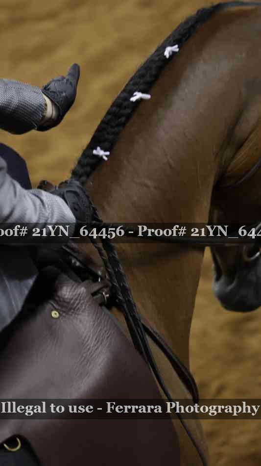Proof Number 21YN_64456