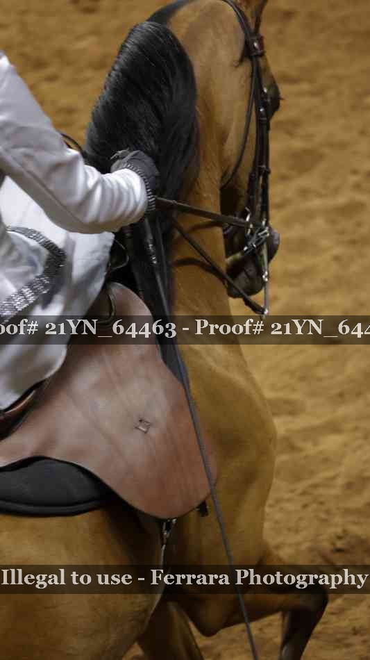 Proof Number 21YN_64463