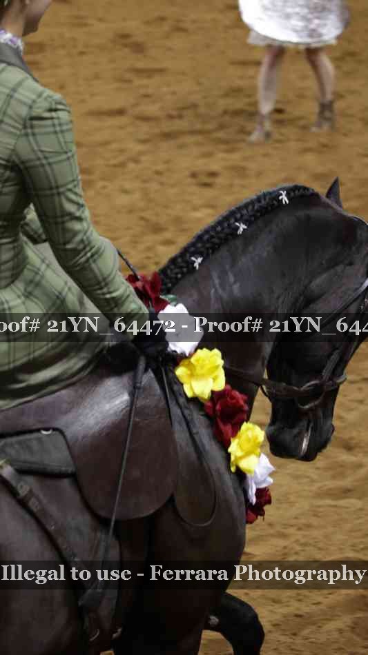 Proof Number 21YN_64472