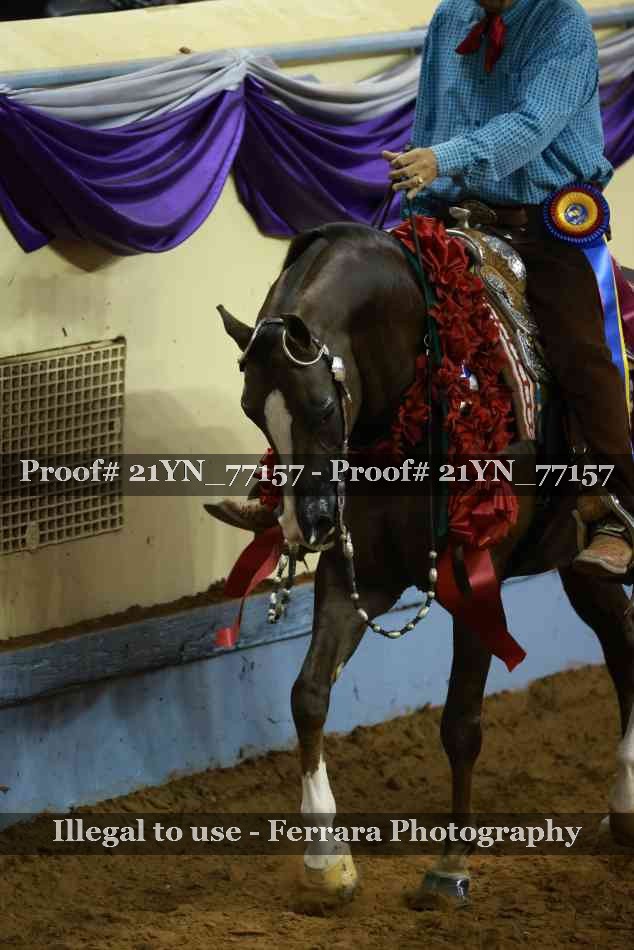 Proof Number 21YN_77157