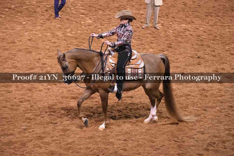 Proof Number 21YN_36627