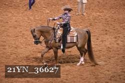 21YN_36627 thumbnail