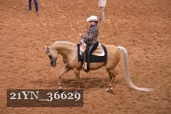 21YN_36629 thumbnail