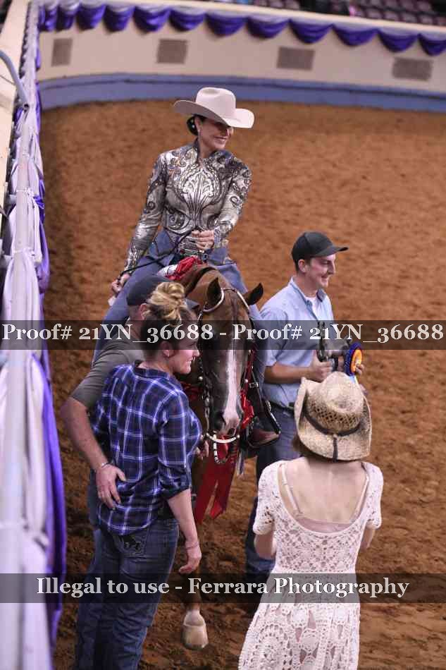 Proof Number 21YN_36688