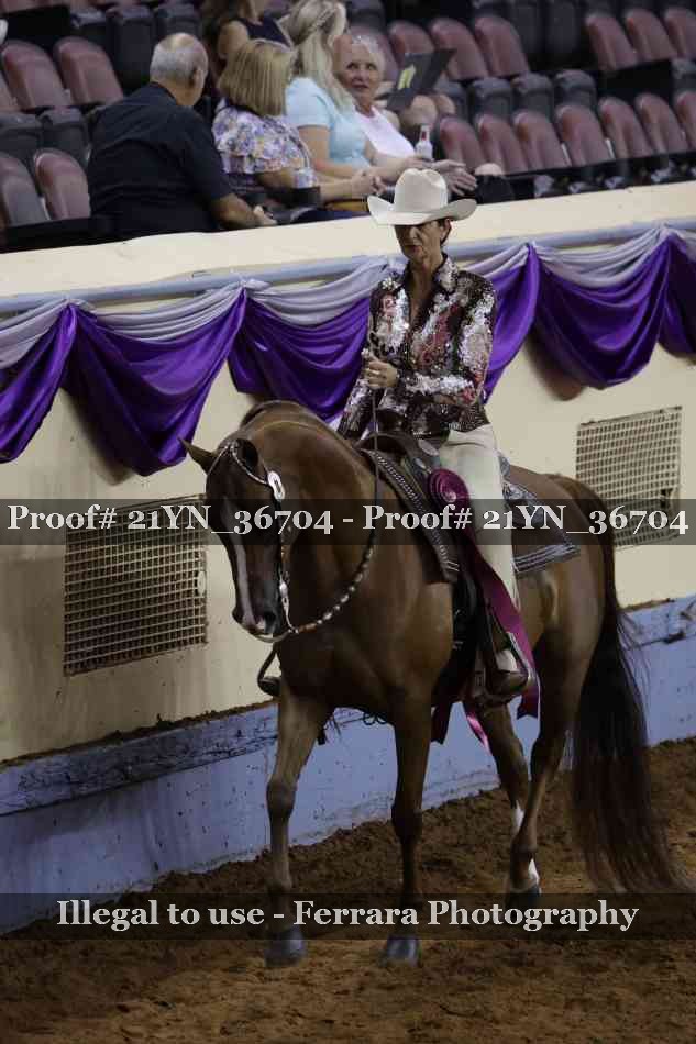 Proof Number 21YN_36704