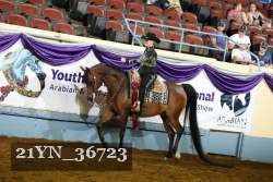 21YN_36723 thumbnail
