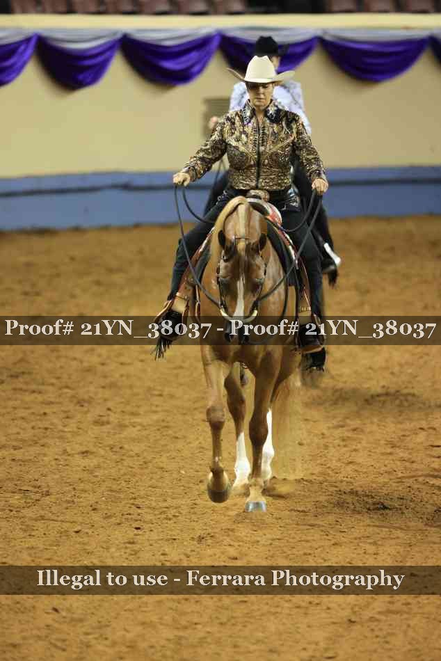 Proof Number 21YN_38037