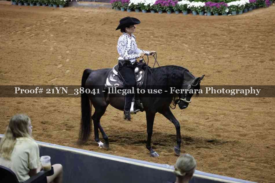 Proof Number 21YN_38041