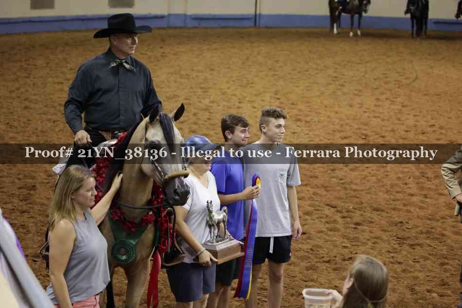 Proof Number 21YN_38136