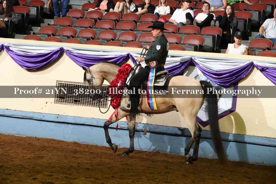 Proof Number 21YN_38200