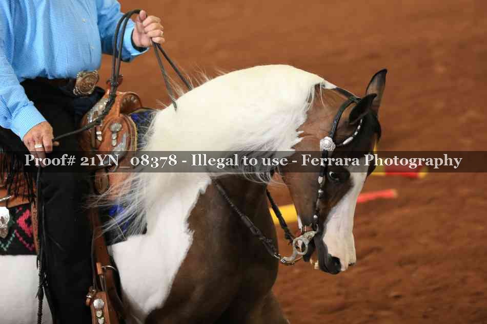 Proof Number 21YN_08378