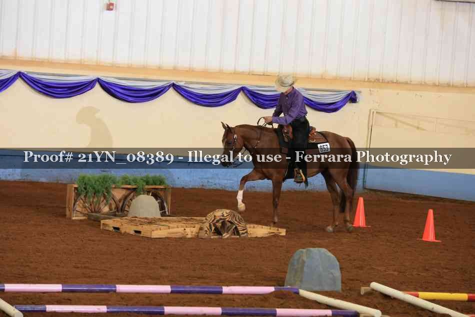 Proof Number 21YN_08389