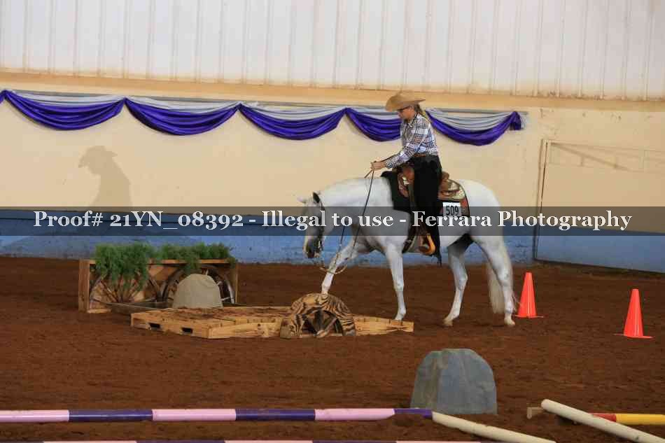 Proof Number 21YN_08392
