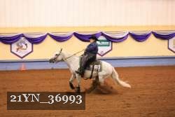 21YN_36993 thumbnail
